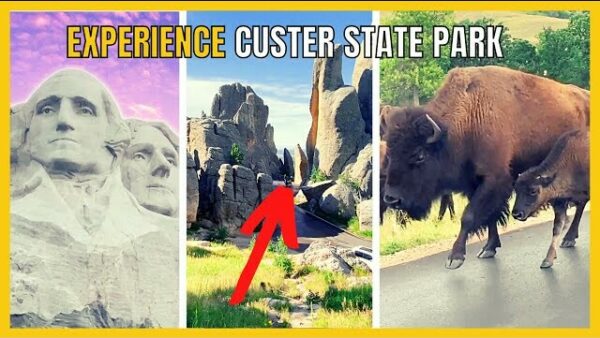 The "VERY BEST" of Custer State Park in Just 2 Days!