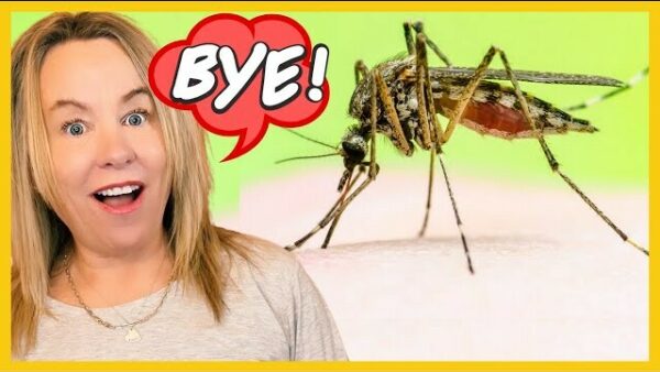 Say Goodbye to Nasty Mosquito Bites! *4 Secret Tips*