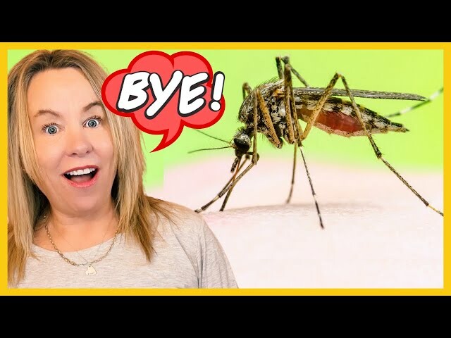 Say Goodbye to Nasty Mosquito Bites! *4 Secret Tips* - Randi's Adventures