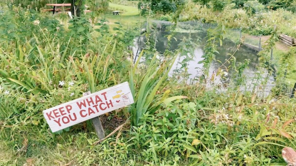 RV camping at a Harvest Hosts fish farm