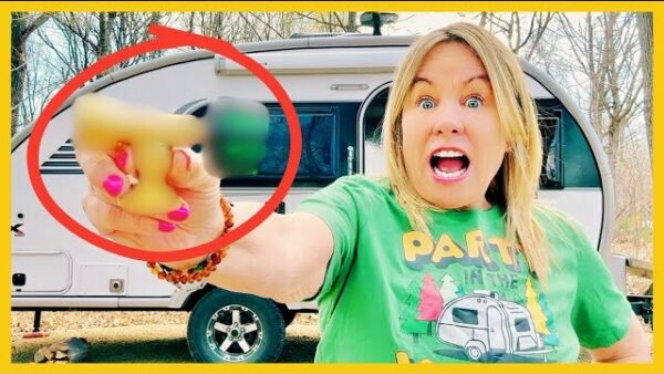 THIS Cheap RV Gadget Could Save Your Life!