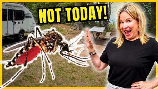 How to Get Rid of Mosquitoes While Camping: My 5-Layer Protection System