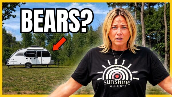 Hipcamp Wisconsin Review: I Camped Alone in Bear Country!